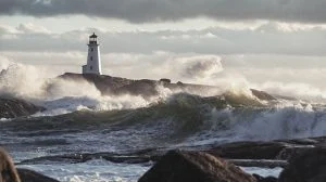 Futureproofing against disruption