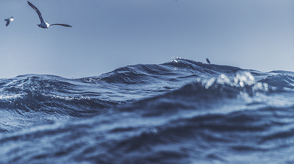 Navigating volatility – The appeal of diversified returns in Global Real Return