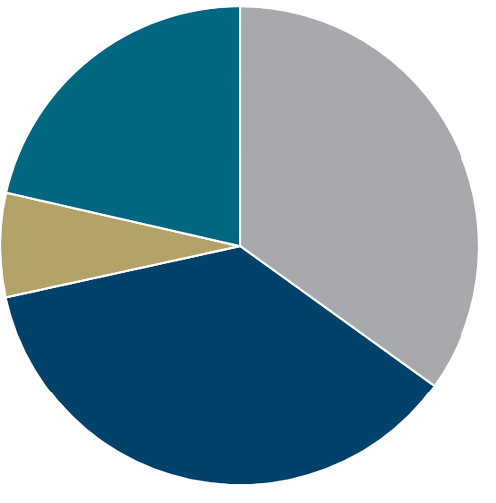 pie_chart_4