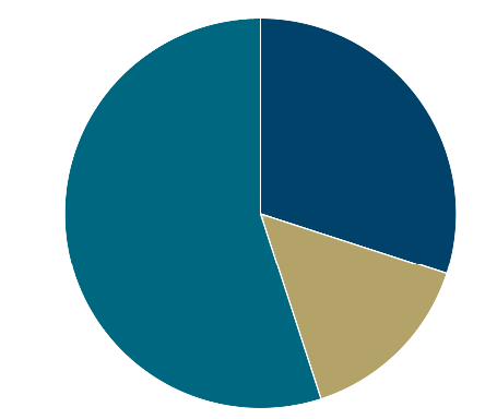 pie chart risk 1