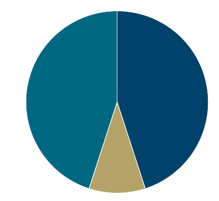 pie chart risk 2