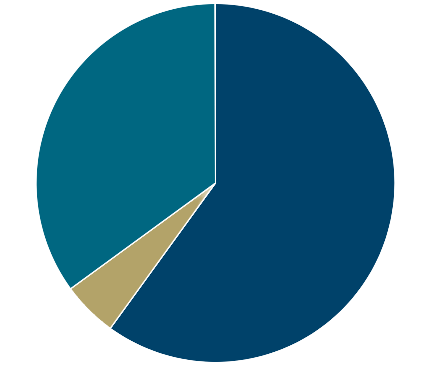 pie chart risk 3