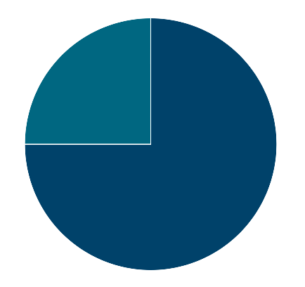 pie chart risk 4