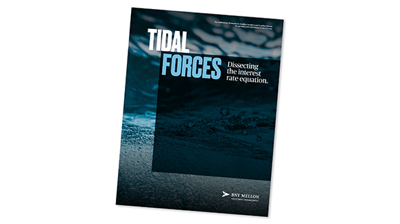 Tidal Forces dissecting the interest rate equation Nov 2023